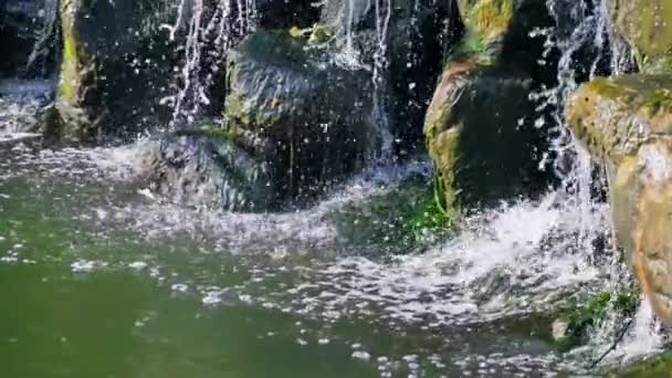Moosige Steine mit Wasserlauf — Stockvideo