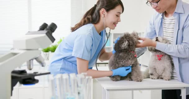 Veterinarian doctor and pet dog — Stock Video