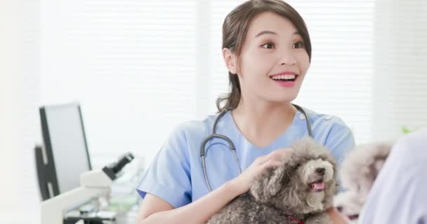 Perro mascota y el veterinario — Vídeos de Stock