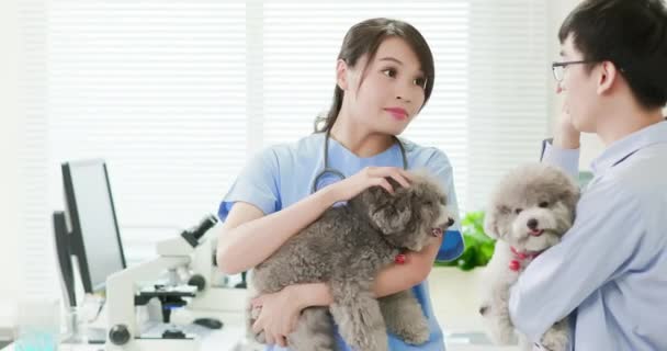 Veterinario presso la clinica veterinaria — Video Stock