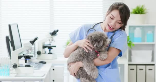 Κτηνίατρος στην κτηνιατρική κλινική — Αρχείο Βίντεο