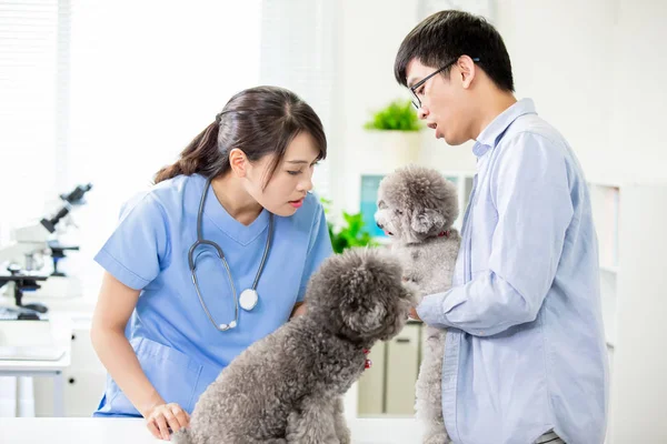 Cão de estimação e o veterinário — Fotografia de Stock