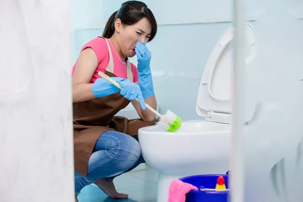 Woman brush the toilet — Stock Photo, Image