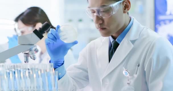 Asijský vědec vzít Petriho misky — Stock video