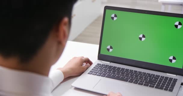Hombre mira ordenador portátil pantalla verde — Vídeos de Stock