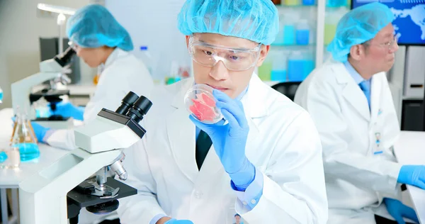 Asiatischer Qualitätsexperte Inspiziert Fleisch Von Lebensmittelproben Labor — Stockfoto