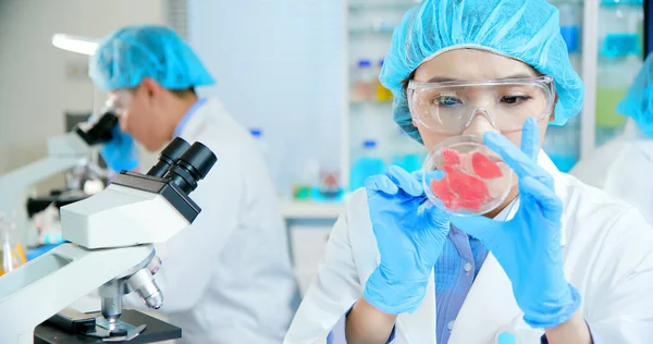 Asian Quality Control Expert Inspecting Food Specimen Meat Laboratory — Stock Photo, Image