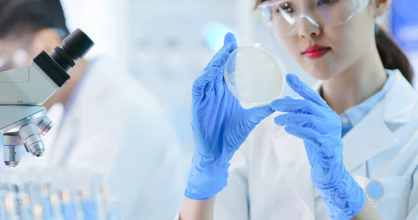 Asiatisches Wissenschaftlerteam Führt Die Experimente Labor Durch — Stockfoto