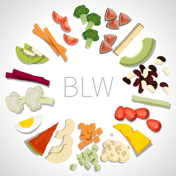 Blw Bébé Conduit Produits Sevrage Légumes Fruits Céréales Pain Oeufs — Image vectorielle