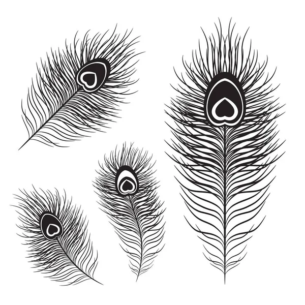 Peacock Feather Set Different Shapes — Stock Vector