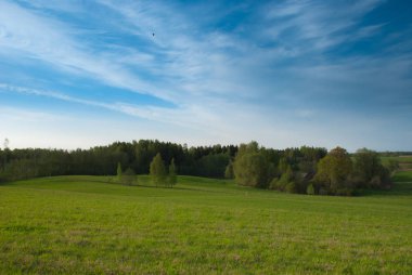 Açık bahar gökyüzü, ağaç ve ahşap arka plan, Latgale region, Letonya, Avrupa'nın çevresi tarım arazileri alanıyla.