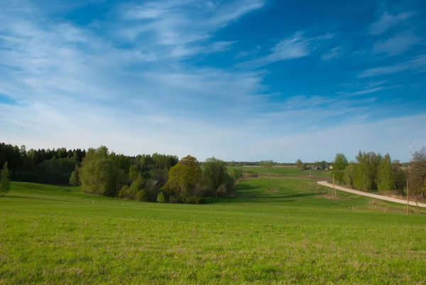 Açık bahar gökyüzü, ağaç ve road, Latgale region, Letonya, Avrupa'nın çevresi tarım arazileri alanıyla.