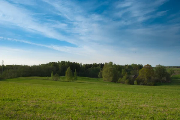 Açık bahar gökyüzü, ağaç ve ahşap arka plan, Latgale region, Letonya, Avrupa'nın çevresi tarım arazileri alanıyla.