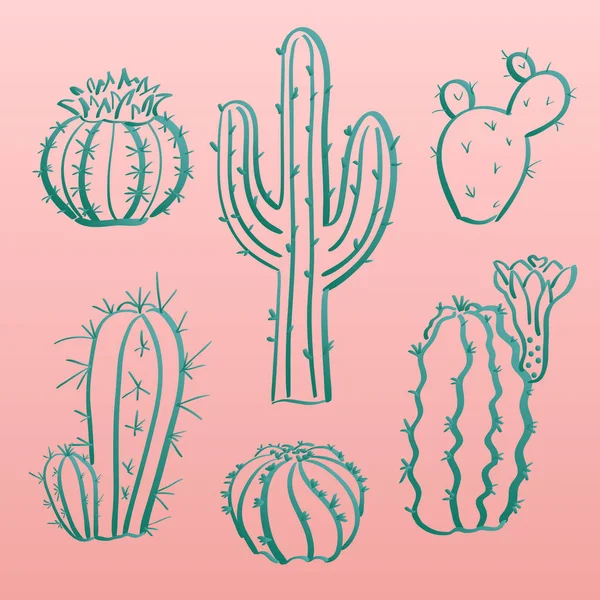 Ensemble Cactus Illustration Vectorielle Dessinée Main Différents Cactus — Image vectorielle