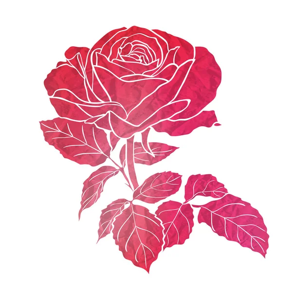 Silueta Rosa Con Imitación Acuarela Ilustración Vectorial — Archivo Imágenes Vectoriales