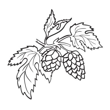 Atlama koni, elle çizilmiş