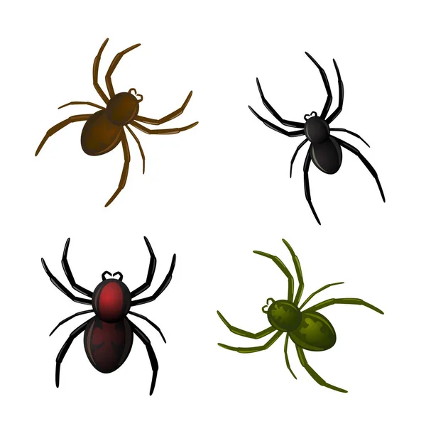 Farklı örümcekler kümesi — Stok Vektör