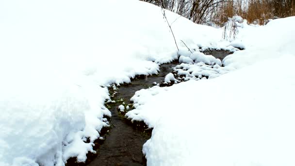 Winterbach Fließt Zwischen Schneeverwehungen — Stockvideo