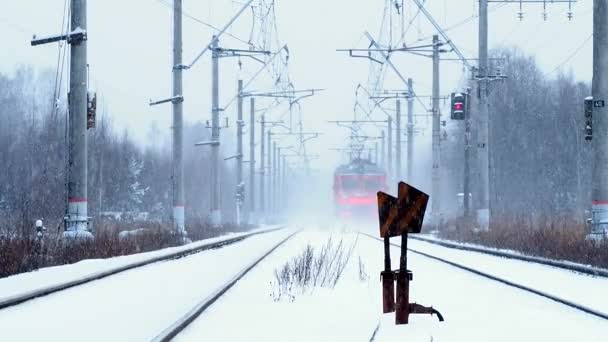 Ruisseau Hiver Coulant Entre Les Dérives Neige — Video