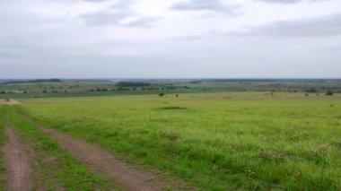 yeşil alanlar ve çayırlar arasında köy yolu