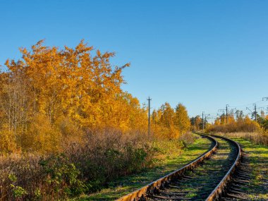 bir sonbahar güneşli gün ufuk ötesinde demiryolu gidiyor
