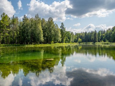 göl yüzeyine yansıyan orman