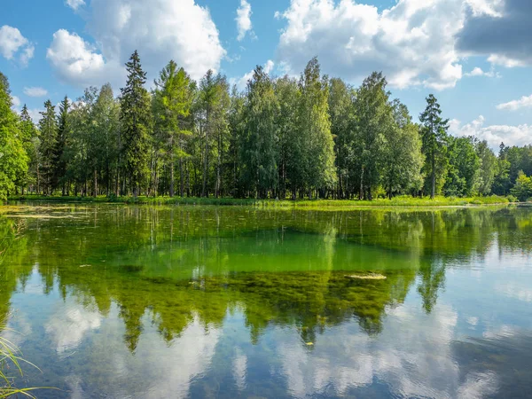 숲에서 호수에서 여름날 로열티 프리 스톡 이미지