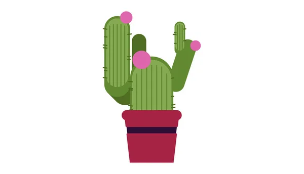 Cactus Insolated Vector Illustration — Stock Vector