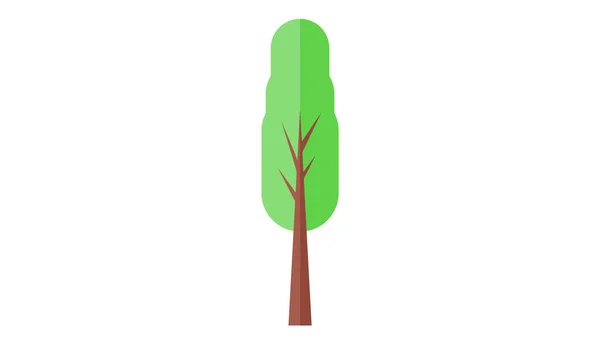 Baum Isolierte Vektor Illustration — Stockvektor