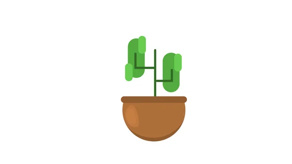 Plant Insolated Vector Illustration — Stock Vector