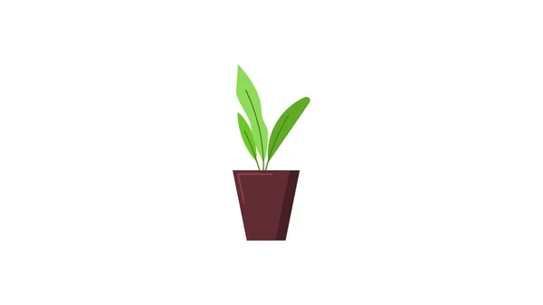 Ilustração Vetorial Isolada Planta Vaso —  Vetores de Stock
