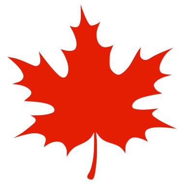 Beyaz arkaplanda kırmızı akçaağaç yaprağı