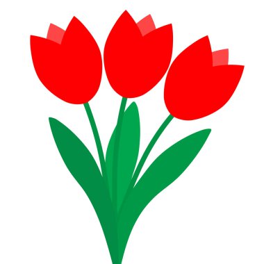 Beyaz arkaplanda üç kırmızı lale var.