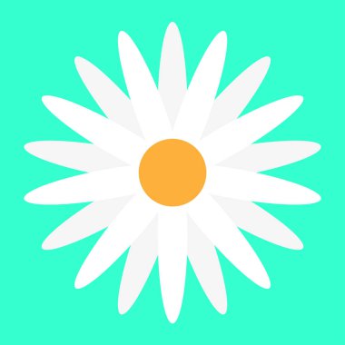 Mavi arka planda bir papatya.