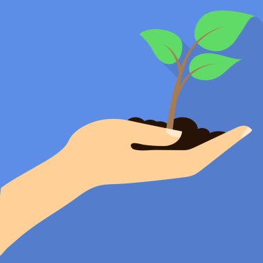 Elinde toprak olan genç bitki. Düz tasarım