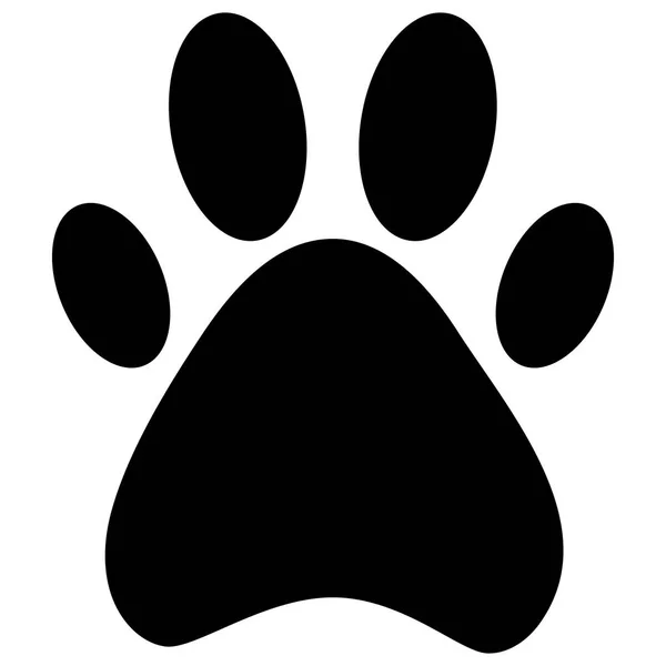 beyaz bir arka planda Paw köpek