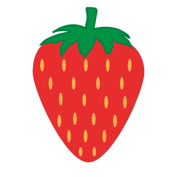 Çilek. Beyaz arka planda vektör çizimi