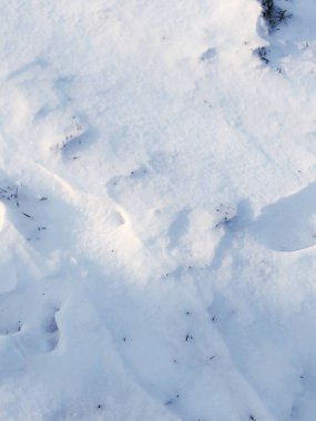 Kardan arkaplan güneşle parlıyordu