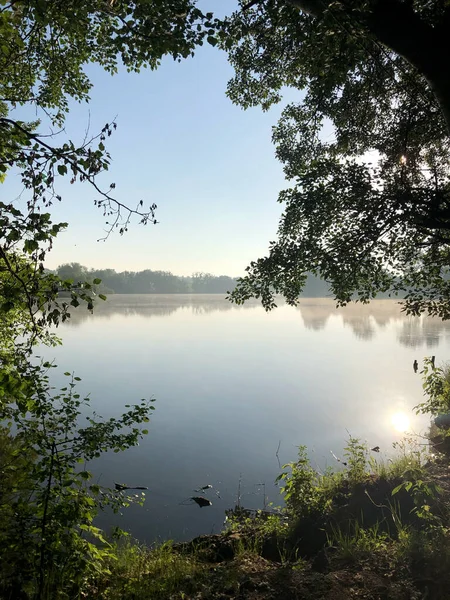 Lago Por Mañana Matorral — Foto de Stock