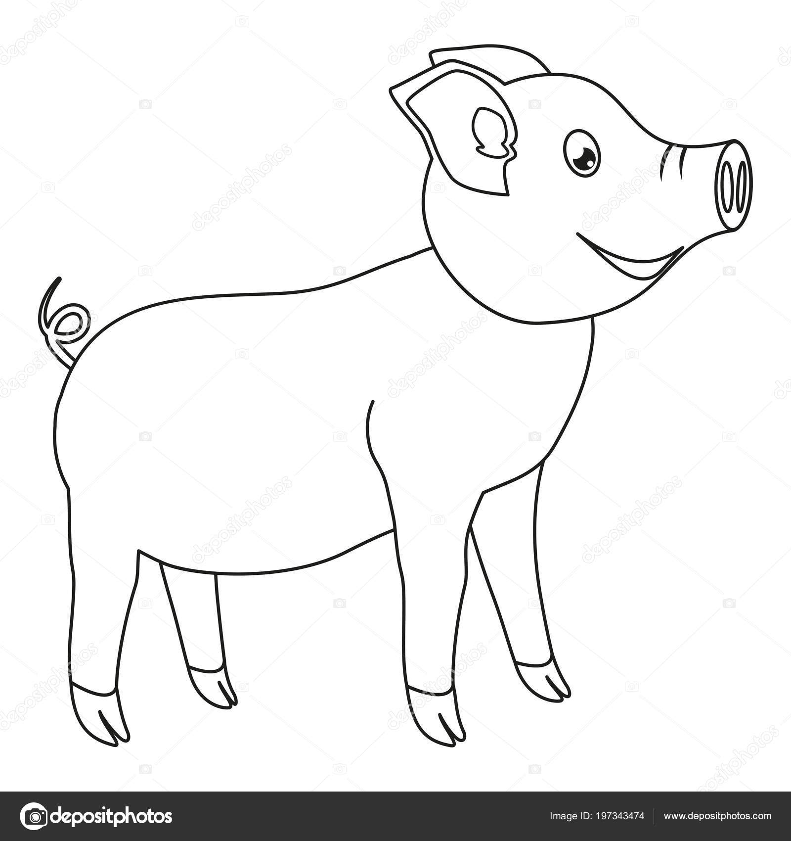 Lijn Kunst Zwart Wit Happy Varken Kleurplaat Voor Volwassenen