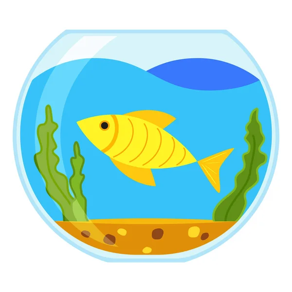 Colorful cartoon round fish aquarium — Stock Vector