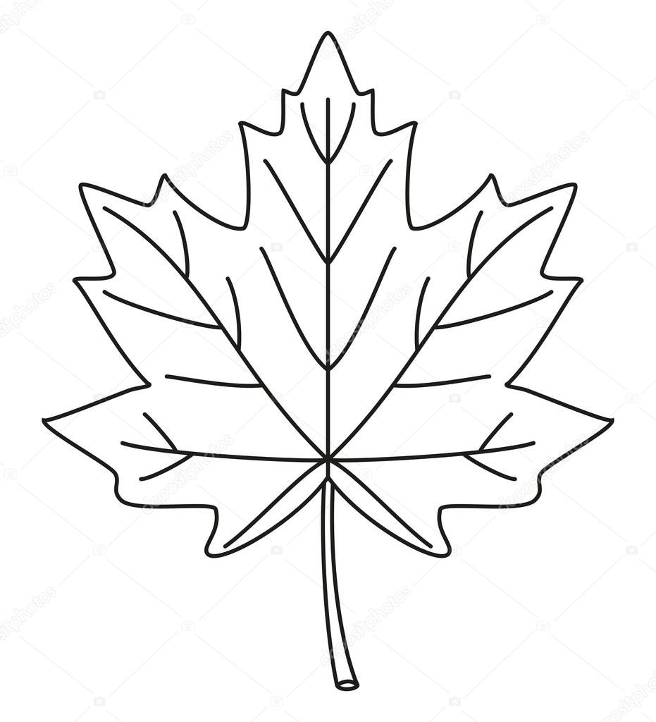 Line art black and white maple leaf