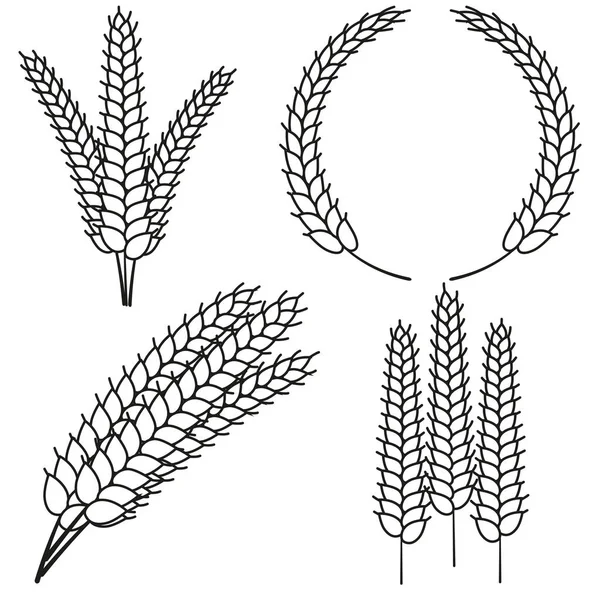 Linha arte preto e branco maduro conjunto de orelha de trigo — Vetor de Stock