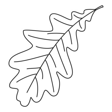 Hat sanat siyah beyaz tek meşe yaprağı