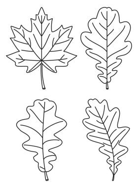 Sanat siyah beyaz 4 meşe yaprağı küme satır