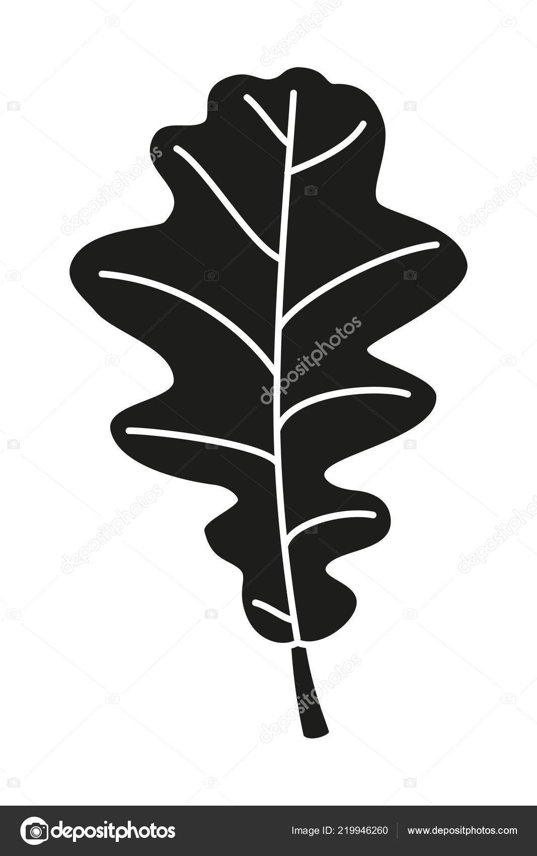 Black And White Asymmetrical Oak Leaf Silhouette Vector Image By C Bessyana Vector Stock Black And White Asymmetrical Oak Leaf Silhouette Vector Image By C Bessyana Vector Stock