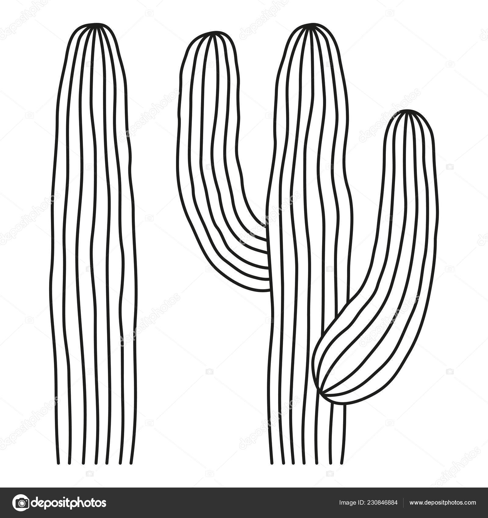Image vectorielle Art linéaire noir et blanc cactus mexicain par ©bessyana  - 230846884, image size:1600x1700