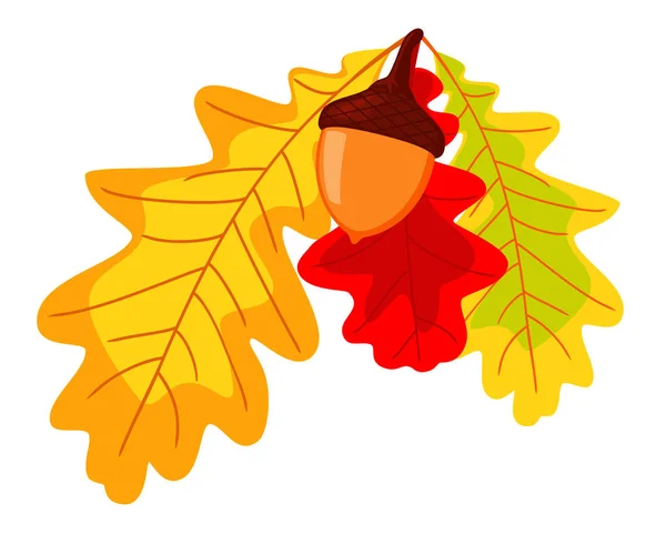 Colorful autumn oak leaves and acorn — Stock Vector