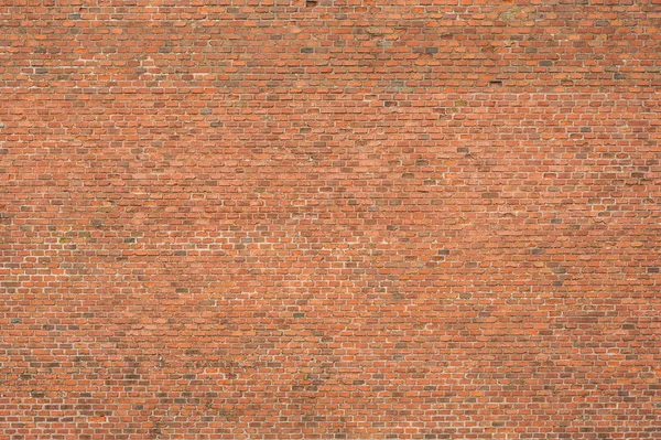 Tasarım için tuğla duvar dokusu. Bir doku olarak antik kalenin duvar parçası.