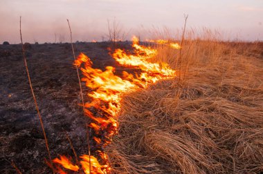 Bir sıcak yaz gününde kuru çim sahada yanıyor. Yanan 